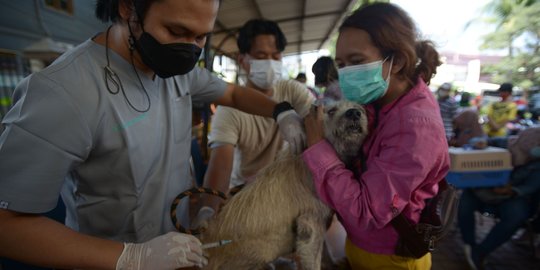 Penyebab Hewan Peliharaan Terinfeksi Rabies dan Hewan Apa yang Lebih Rentan