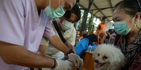 dan paparan lingkungan hewan peliharaan