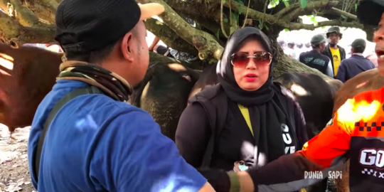 Wanita Asal Cijantung Bawa Duit Satu Tas Borong Sapi, Langsung Dikerubuti Pedagang