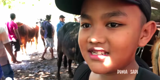 Bos Kecil Asal Bandung Bawa Uang Rp500 Juta Borong Sapi 'Semoga Jadi Orang Sukses'