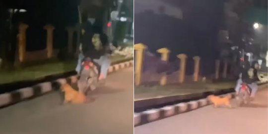 Viral Video Seekor Anjing Diseret Pengendara Motor di Depan Asrama Polisi