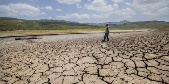 BMKG Sebut Peluang El Nino Menguat Bulan Ini, Apa Dampaknya?