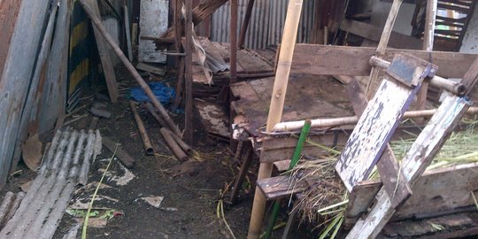 Pencurian Kambing Hanya Tinggalkan Isi Jeroan Resahkan Warga Depok