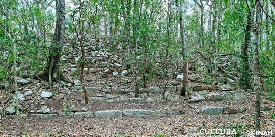 Dengan Bantuan Laser, Arkeolog Temukan Kota Kuno Berusia Ribuan Tahun di Tengah Hutan