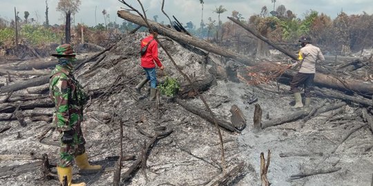 1,5 Ha Areal Taman Nasional Tesso Nilo di Riau Terbakar, Polisi Turun Tangan