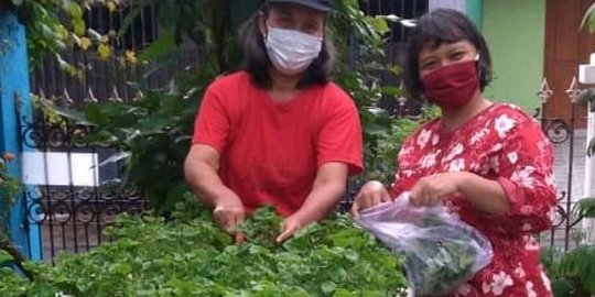 Berawal dari Hobi Bertani, Kelompok Ibu-Ibu di Sleman dapat 'Green House' dari BRI