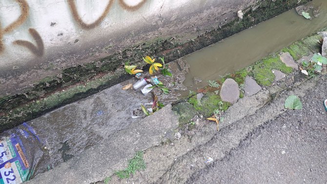 limbah peternakan sapi mengotori perumahan warga pancoran jaksel