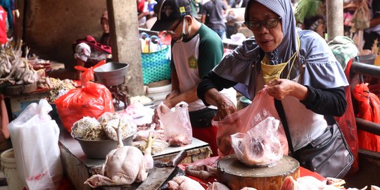 Harga Daging Ayam Tembus Rp50 Ribu, Jokowi Duga Ini Penyebab