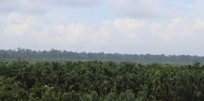 Perjuangan Tiga Desa di Tanjung Jabung Timur Menjaga Hutan Gambut