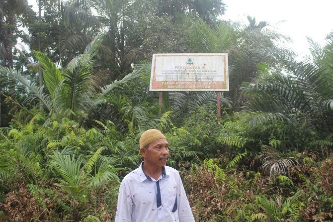 hutan gambut di tanjung jabung timur