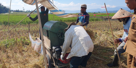 Berlaku Hari Ini, Tebus Pupuk Subsidi Cuma Butuh KTP Petani