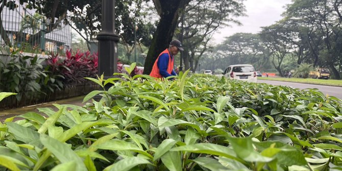 Kelola Ruang Terbuka Hijau, LPKR Kucurkan Rp 17 Miliar