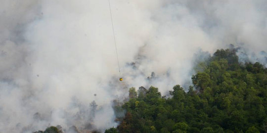 Mengurai Masalah Kebakaran Hutan dan Lahan yang Jadi PR Tahunan