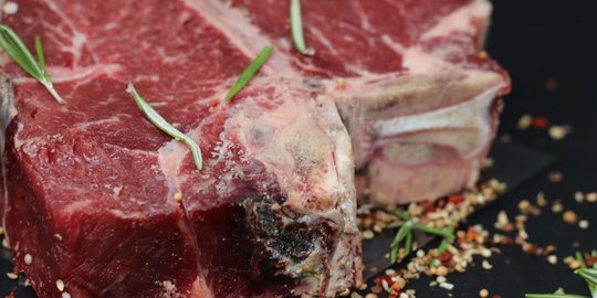 besi dan protein dalam daging