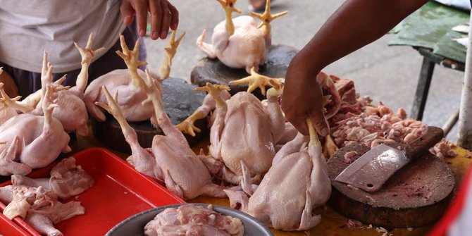 Jelang Idul Adha, Harga Daging Ayam di Jakarta Naik Capai Rp50.000 per Kg