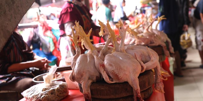 Jaga Stabilitas Harga Daging Ayam, Gerakan Pangan Murah Disebar di 3.866 Titik