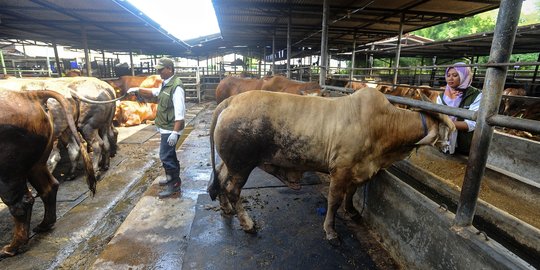 Heru Budi Minta Warga Tak Buang Limbah Hewan Kurban Sembarangan