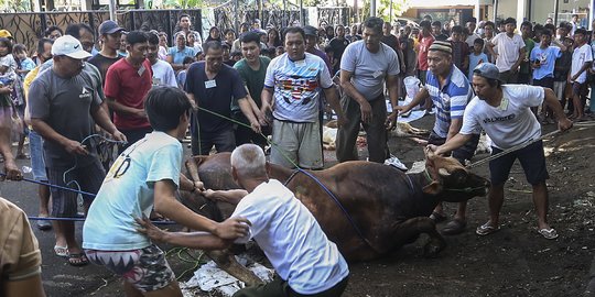 Ini Dampak Lingkungan Jika Limbah Hewan Kurban Dibuang Sembarangan