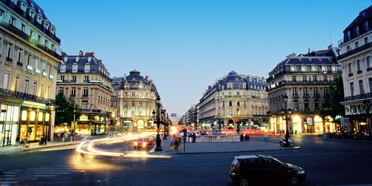 Orang Kaya Paris Hidup Berdampingan dengan Tikus, Ada Apa?