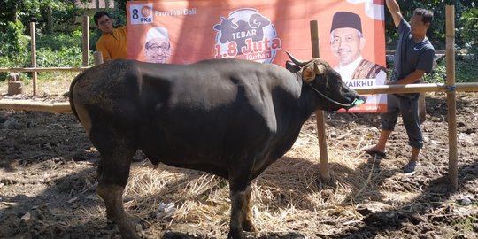 Tebar 1,8 Juta Paket Kurban, Presiden PKS Kirim Sapi ke NTT dan Bali