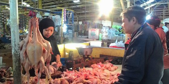 Harga Daging Ayam Mahal, Inflasi Juni 2023 Tembus 0,14 Persen