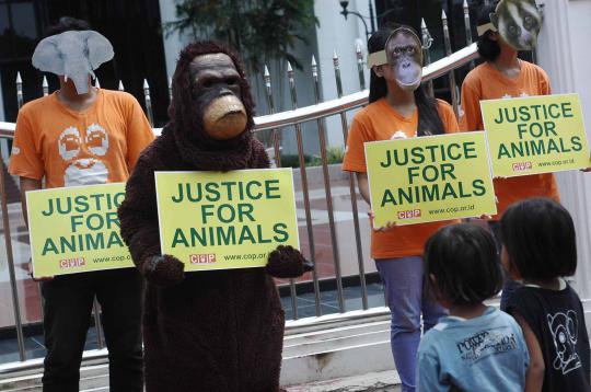 'Orangutan' di depan Mahkamah Agung