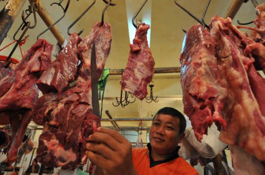 Harga daging sapi masih normal 