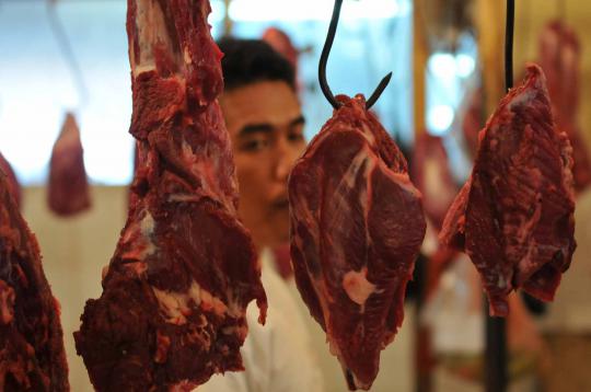 Harga daging sapi masih normal 