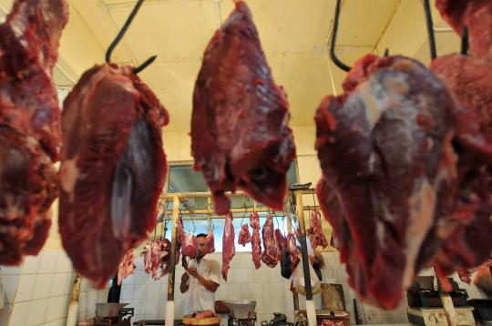 Harga daging sapi masih normal 