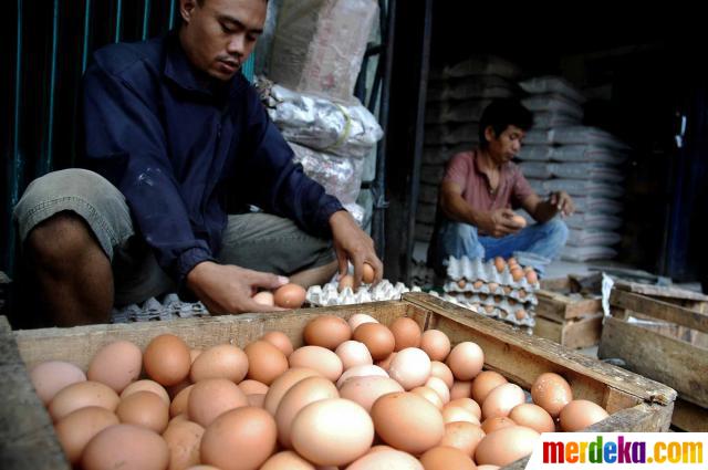 Foto Harga  telur  ayam  merangkak naik merdeka com