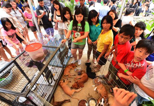 Central Park Mall Jakarta gelar Festival Anjing