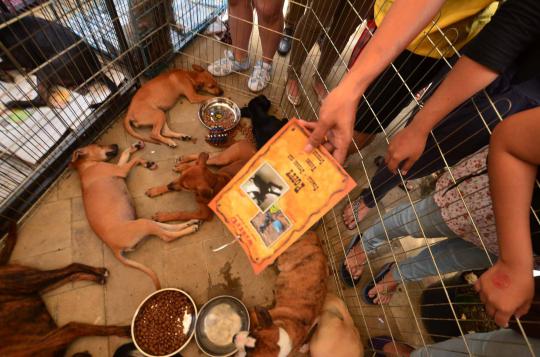 Central Park Mall Jakarta gelar Festival Anjing