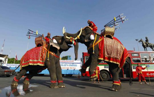 Gajah dan para buruh ikut merayakan aksi peringatan Hari Buruh Sedunia 