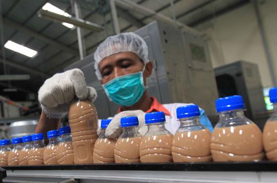 Ribuan botol NU Milk Tea yang telah terisi akan dikemas di Pabrik PT A 