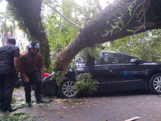 Pohon tumbang timpa mobil mewah di Medan