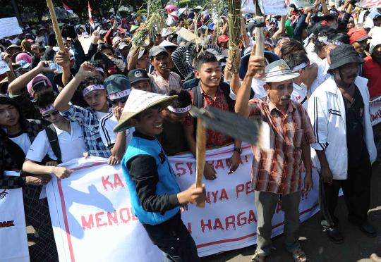 Tolak PLTU, petani dan nelayan demo di Istana