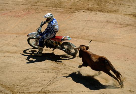 Ketika amukan banteng tak terbendung
