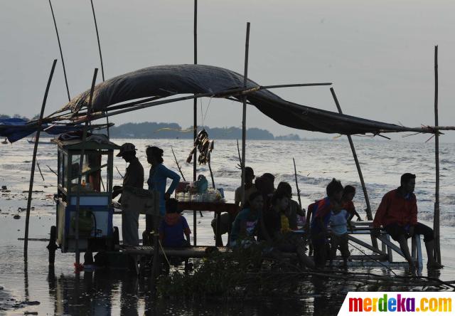 Foto Paus Jenis Sperm Yang Terdampar Di Pantai Sompek Merdeka Com