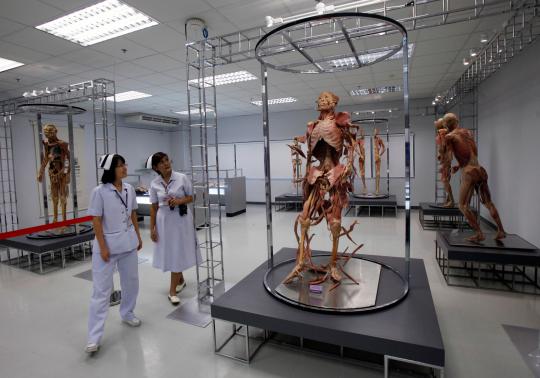 Pameran tubuh manusia