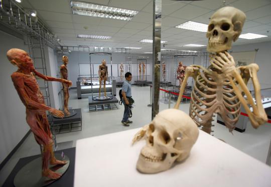 Pameran tubuh manusia