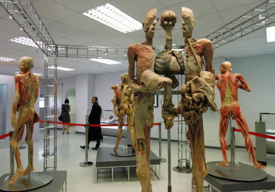 Pameran tubuh manusia