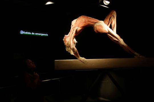 Pameran tubuh manusia plastinated (2)