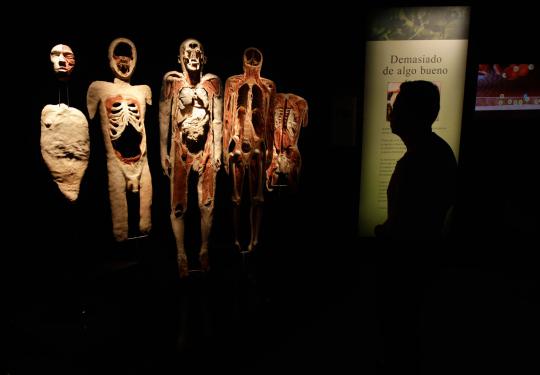 Pameran tubuh manusia plastinated (2)