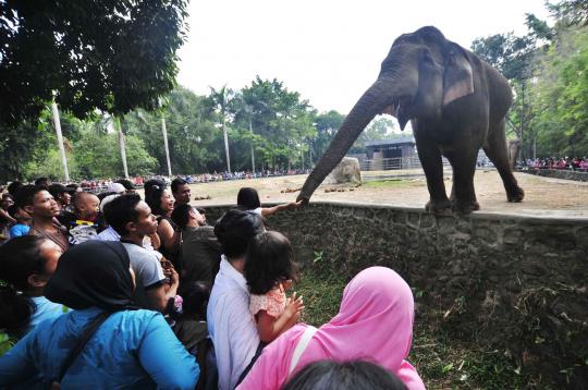 Libur lebaran, ribuan warga padati kebun binatang Ragunan