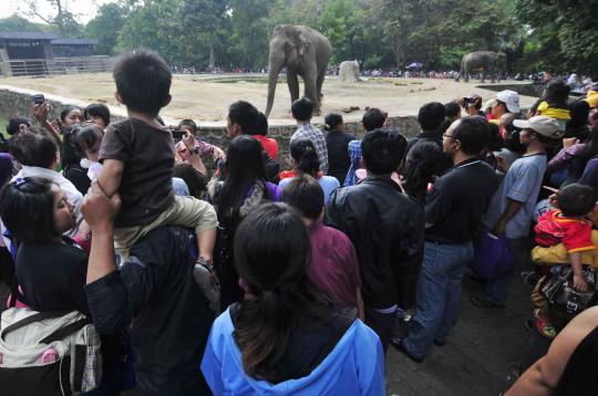 Libur lebaran, ribuan warga padati kebun binatang Ragunan