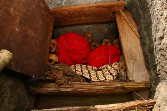 Ritual ganti pakaian mayat leluhur Toraja