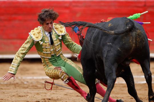 Aksi matador kewalahan saat hadapi banteng