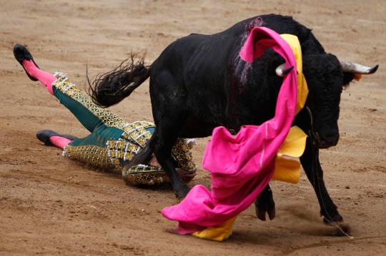 Aksi matador kewalahan saat hadapi banteng