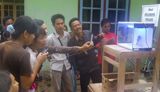 Inilah jenglot yang gegerkan warga Bantul