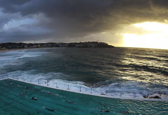 Berselancar bersama lumba-lumba di pantai Bondi